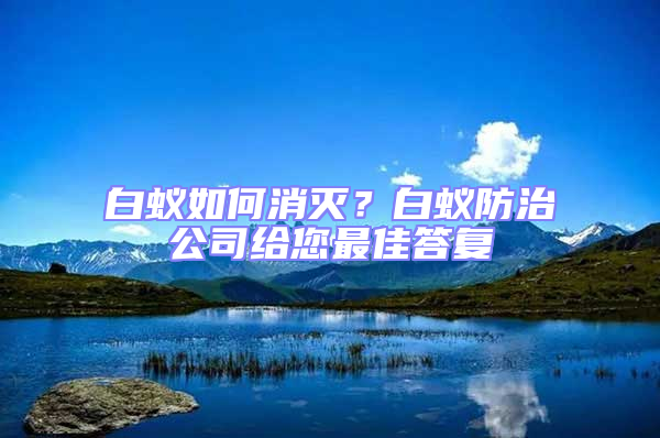 白蟻如何消滅？白蟻防治公司給您最佳答復