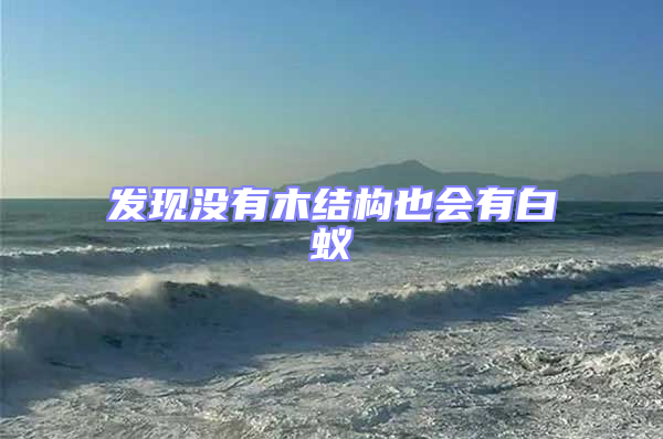 發(fā)現(xiàn)沒有木結(jié)構(gòu)也會有白蟻