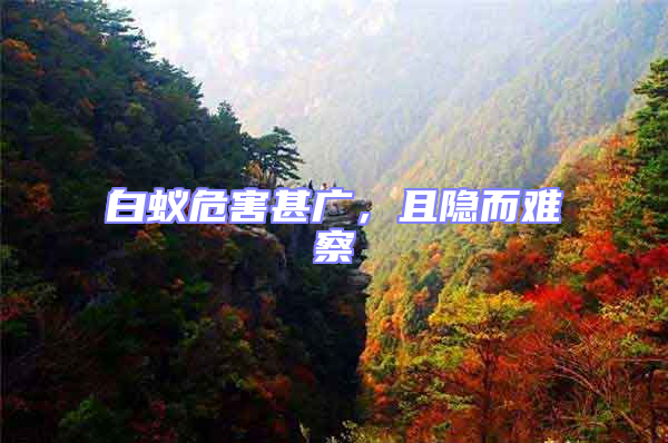 白蟻危害甚廣，且隱而難察