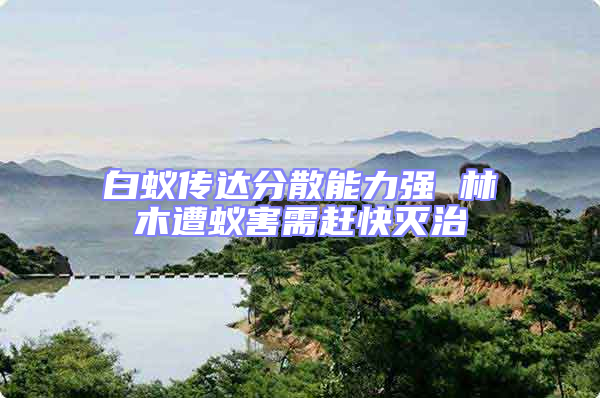 白蟻傳達(dá)分散能力強 林木遭蟻害需趕快滅治