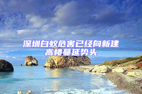 深圳白蟻危害已經(jīng)向新建高樓蔓延勢頭