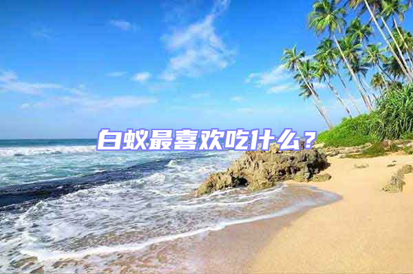 白蟻?zhàn)钕矚g吃什么？