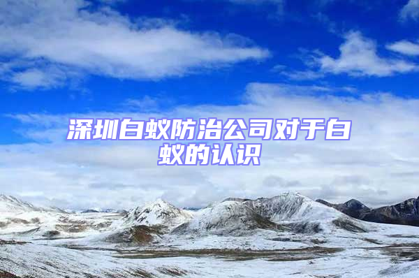 深圳白蟻防治公司對于白蟻的認(rèn)識