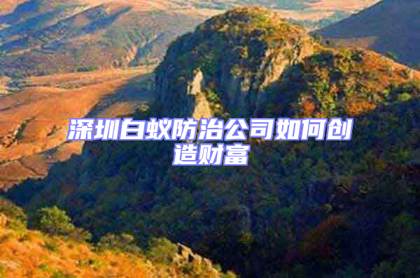 深圳白蟻防治公司如何創(chuàng)造財富