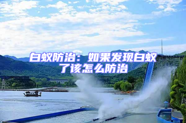白蟻防治：如果發現白蟻了該怎么防治