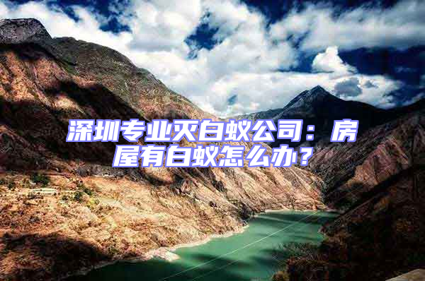 深圳專業(yè)滅白蟻公司：房屋有白蟻怎么辦？