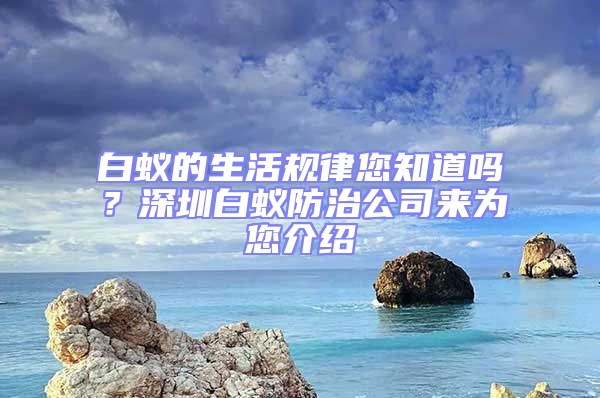 白蟻的生活規(guī)律您知道嗎？深圳白蟻防治公司來(lái)為您介紹