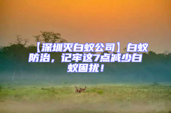 【深圳滅白蟻公司】白蟻防治，記牢這7點減少白蟻困擾！