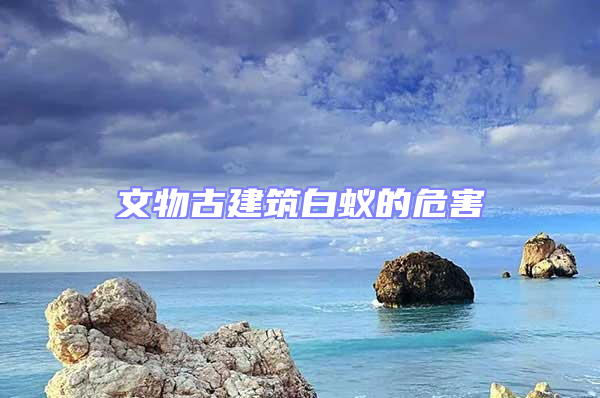 文物古建筑白蟻的危害