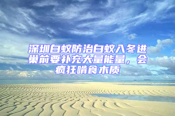 深圳白蟻防治白蟻入冬進巢前要補充大量能量，會瘋狂啃食木質