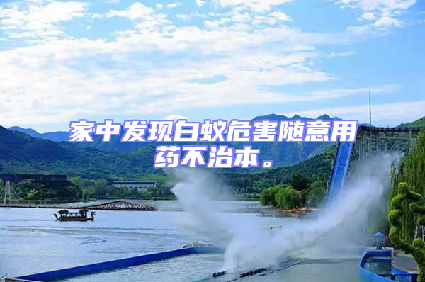 家中發現白蟻危害隨意用藥不治本。