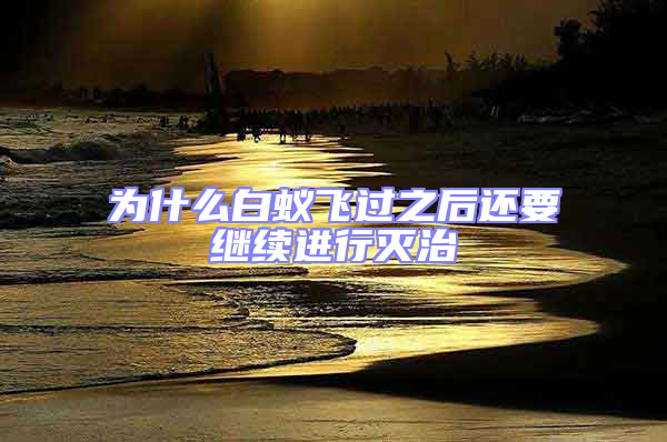 為什么白蟻飛過之后還要繼續進行滅治