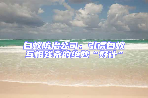 白蟻防治公司：引誘白蟻互相殘殺的絕妙“好計”