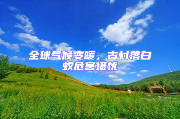 全球氣候變暖，古村落白蟻危害堪憂