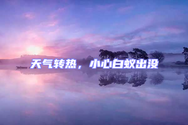 天氣轉(zhuǎn)熱，小心白蟻出沒