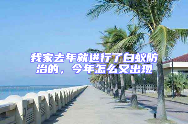 我家去年就進行了白蟻防治的，今年怎么又出現(xiàn)