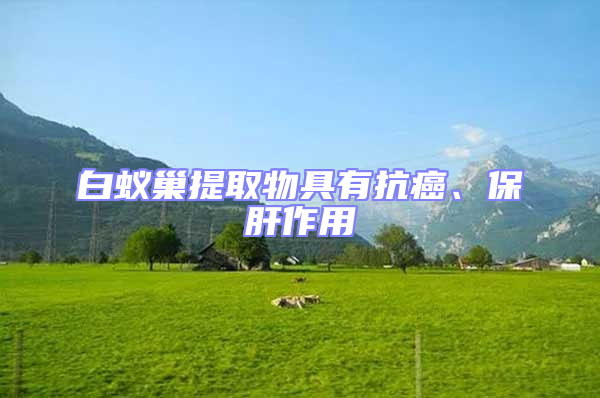 白蟻巢提取物具有抗癌、保肝作用