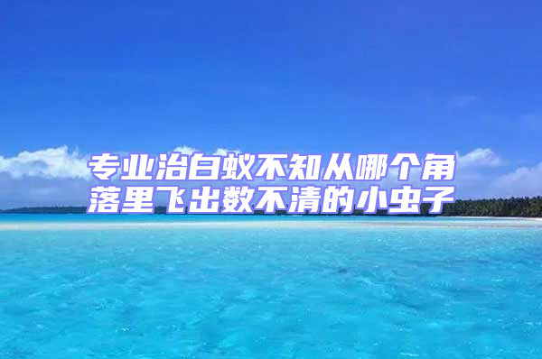 專業治白蟻不知從哪個角落里飛出數不清的小蟲子