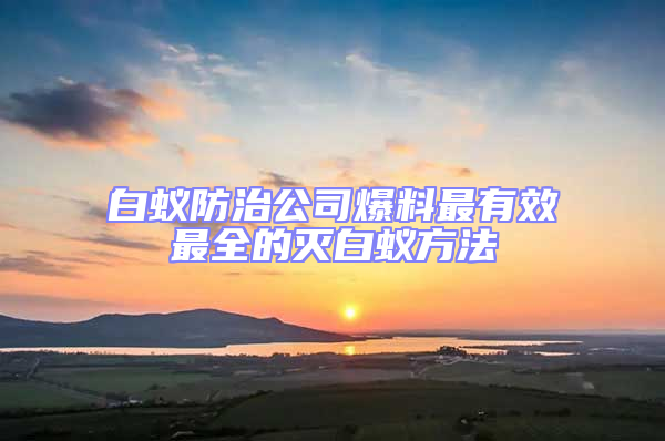 白蟻防治公司爆料最有效最全的滅白蟻方法