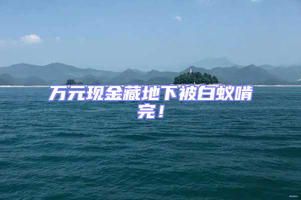 萬元現金藏地下被白蟻啃完！